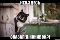 кто здесь сказал джонибой?!