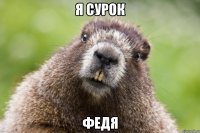 я сурок федя