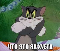 что это за хуета