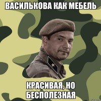 василькова как мебель красивая, но бесполезная