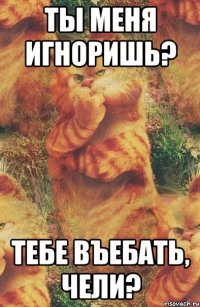 ты меня игноришь? тебе въебать, чели?