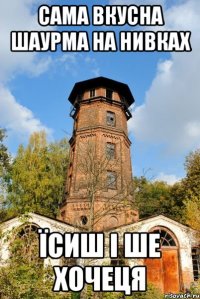 сама вкусна шаурма на нивках їсиш і ше хочеця