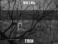 жизнь тлен