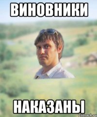 виновники наказаны