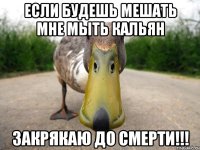 если будешь мешать мне мыть кальян закрякаю до смерти!!!