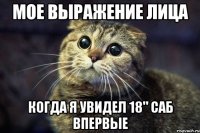 мое выражение лица когда я увидел 18" саб впервые