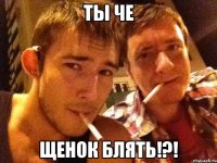 ты че щенок блять!?!