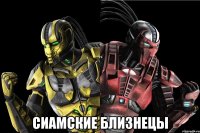  сиамские близнецы
