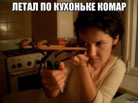 летал по кухоньке комар 