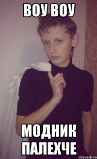 воу воу модник палехче