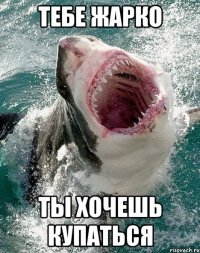 тебе жарко ты хочешь купаться
