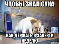 чтобы знал сука как держать в заперти неделю