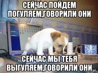 сейчас пойдем погуляем,говорили они сейчас мы тебя выгуляем,говорили они