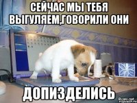 сейчас мы тебя выгуляем,говорили они допизделись