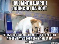 как мило,шарик пописял на ноут чтобы его хозяин наконец то перестал проебывать свое лето и пошел на улицу!
