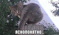  яснопонятно...