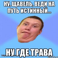 ну, щавель, веди на путь истинный... ну где трава