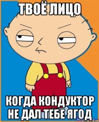 твоё лицо когда кондуктор не дал тебе ягод