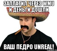 заплатил через wmu и деньги дошли ваш педро unreal!