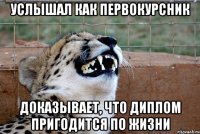 услышал как первокурсник доказывает, что диплом пригодится по жизни