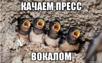 качаем пресс вокалом