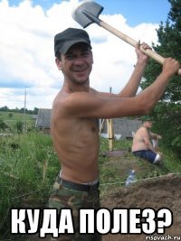  куда полез?
