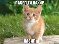 пасел ти нахир казил