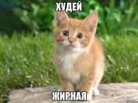 худей жирная