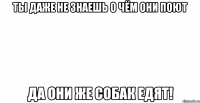 ты даже не знаешь о чём они поют да они же собак едят!