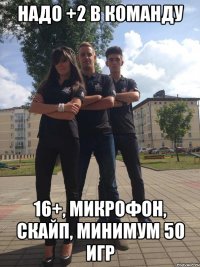 надо +2 в команду 16+, микрофон, скайп, минимум 50 игр