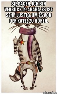 sie sagen, ich bin verrückt? ahaha, es ist sehr lustig, um es von der katze zu hören. 