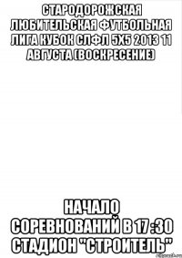 стародорожская любительская футбольная лига кубок слфл 5х5 2013 11 августа (воскресение) начало соревнований в 17 :30 стадион "строитель"