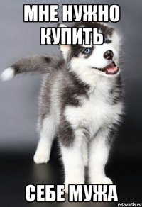 мне нужно купить себе мужа