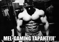  mel-gaming tapahtyji*