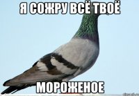 я сожру всё твоё мороженое