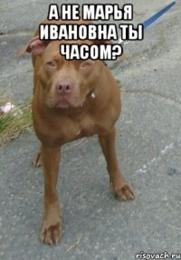 а не марья ивановна ты часом? 
