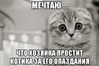 мечтаю ... что хозяйка простит котика за его опаздания