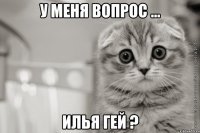 у меня вопрос ... илья гей ?