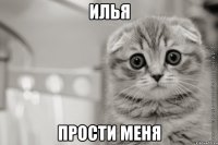 илья прости меня