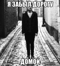 я забыл дорогу домой