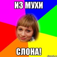 из мухи слона!