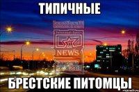 типичные брестские питомцы