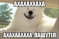 ахахаххаха ахахаахаха ,пашутіл