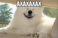 ахахахах 