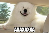  ахахахха