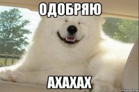 одобряю ахахах