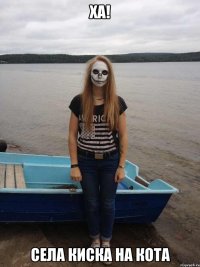 ха! села киска на кота