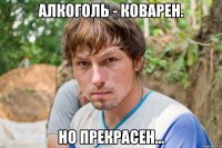алкоголь - коварен. но прекрасен...