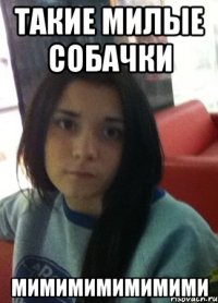 такие милые собачки мимимимимимими