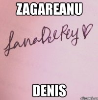 zagareanu denis